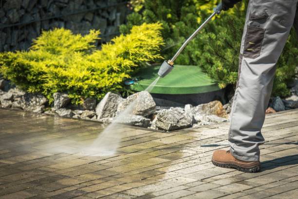Professional Pressure Washing Services in Olean, NY